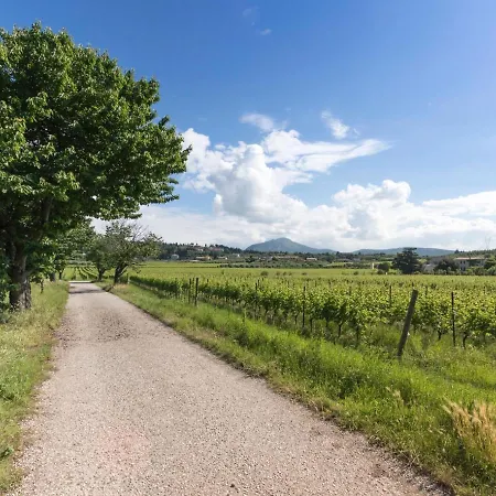 Tenuta Naiano Raffaello * 카바욘베로네세
